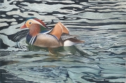 Reflections on a Mandarin