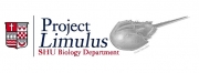 BestLimulus_edited-1